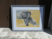 /album/galerie-photos/photo-414-jpg/